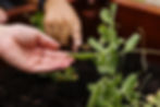 play-based childcare inclusions Forrestdale WA 6112
