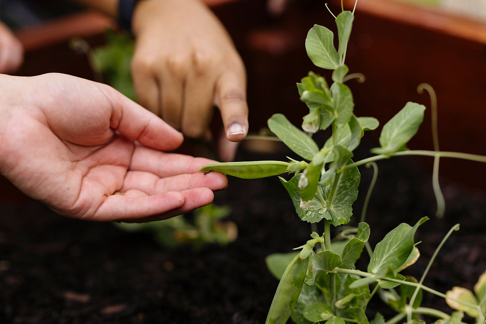 play-based childcare inclusions Forrestdale WA 6112