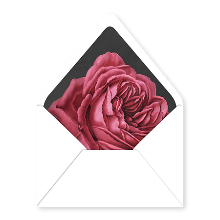 ALLISON W003_liner.png