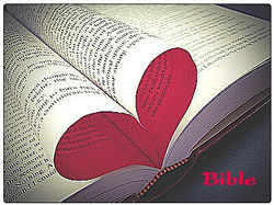 Bible 2015 - Single Picture