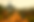 background Logo.png