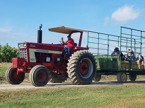 hayride.png