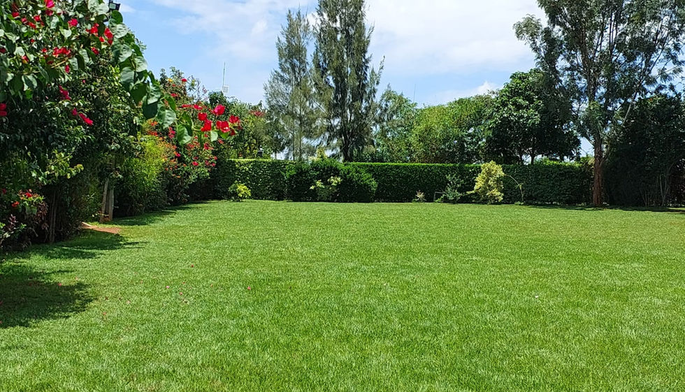 Imani Grounds view 1