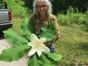 Debbie Barnes: Chair-Holly Rood