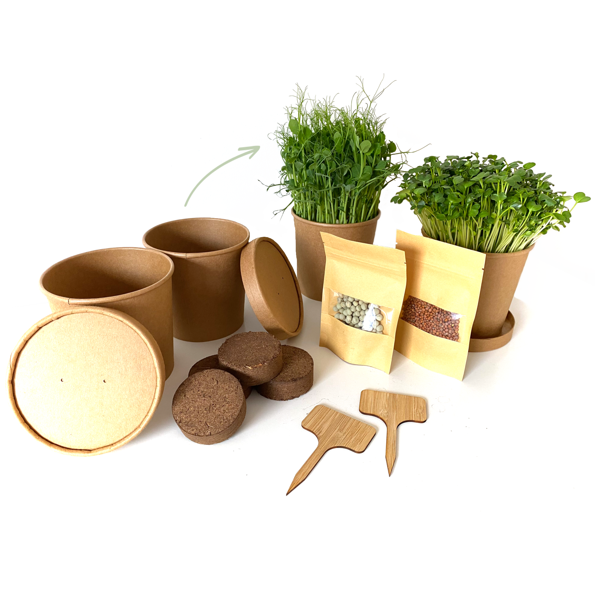 Multipack - Grow Kits