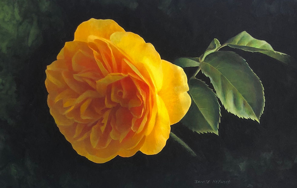 Golden Rose header.jpeg