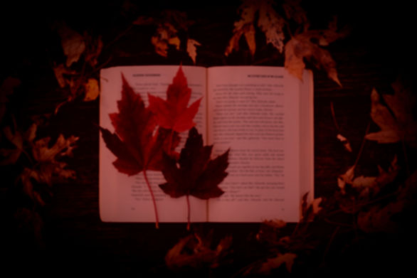 Books to read during autumn. Stories that remind you of fall leaves._edited.jpg