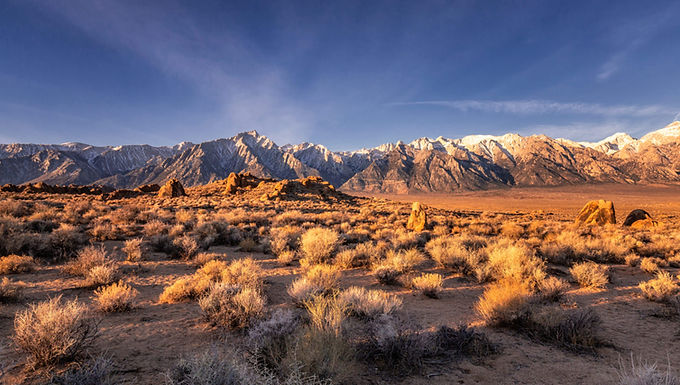 FY2021 CoC Competition: Rating and Ranking