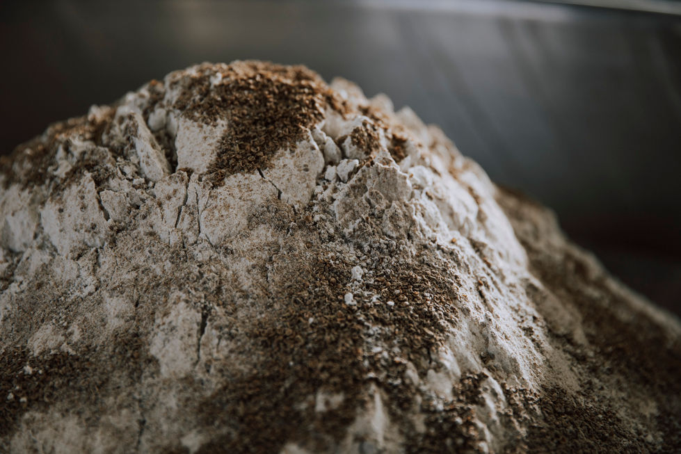 Brotmanufaktur_Schmidt_028