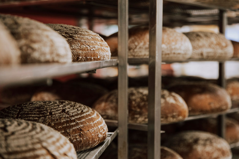 Brotmanufaktur_Schmidt_034