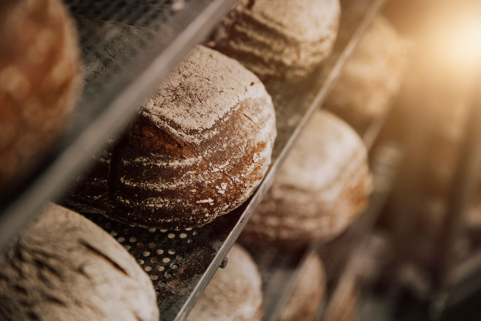 Brotmanufaktur_Schmidt_033