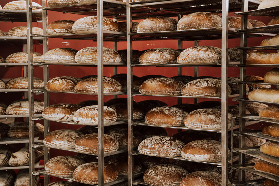 Brotmanufaktur_Schmidt_035
