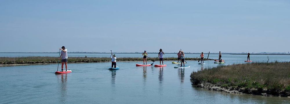 Sup in Laguna tra le barene