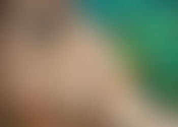 Avistamiento de aves en Boquete: el paraíso del quetzal