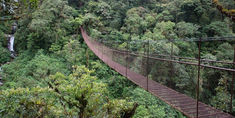 Ecotourism in Boquete