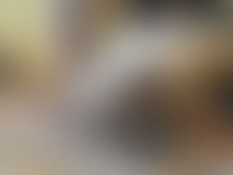 Offrez une seconde chance à un chat oublié grâce au parrainage. Aidez à couvrir ses soins tout en recevant de ses nouvelles.