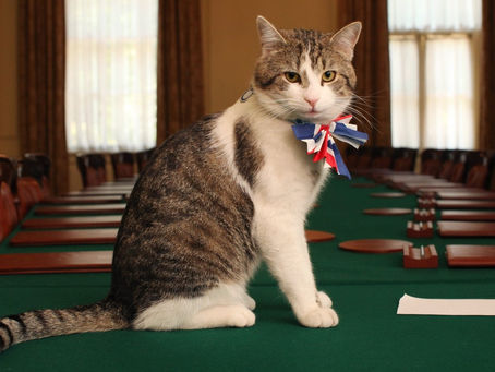 L'INCROYABLE HISTOIRE DE LARRY, LE CHAT FONCTIONNAIRE