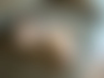 Un chat blanc sur un canapé allongé sur le dos