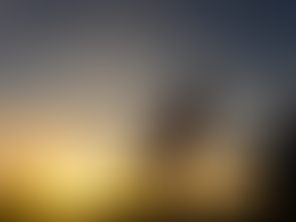 A girl running to her father