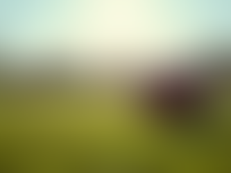 Registration Open: HER SPORTS Flag Football Season 2