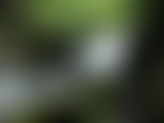 学校生徒の発表会