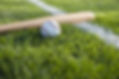 Baseball and Bat