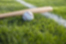 Baseball and Bat
