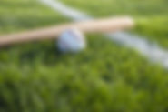 Baseball and Bat