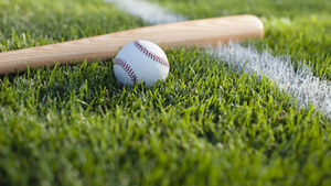 Baseball and wooden bat on green grass with white line, creating a vibrant, sunny sports scene.