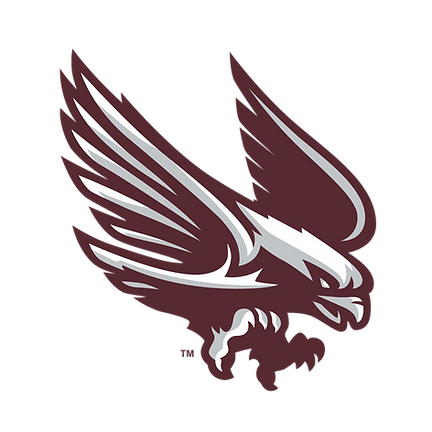 Radnor High School Volleyball