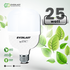 Everlast Kapsul 25 Watt