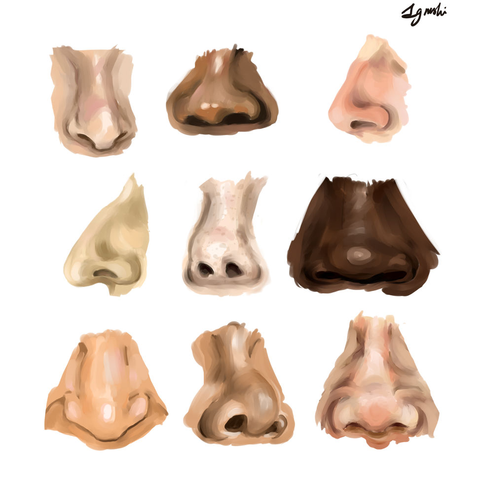 nose.jpg