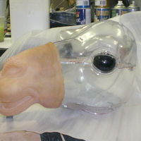 Beginnings of a PushmePullYou