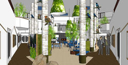 healing environment entreeshot