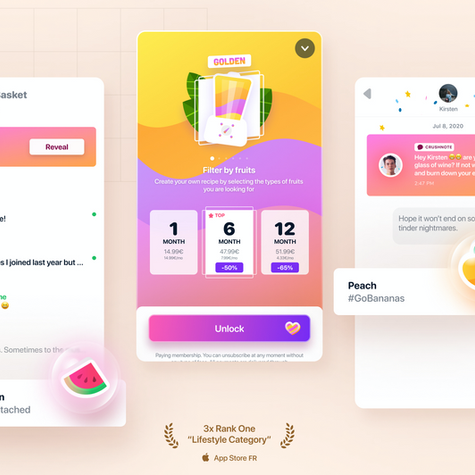 Fruitz: Which User Experience ? 