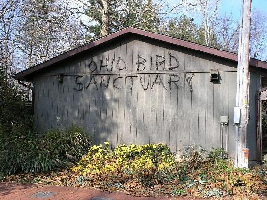 ohio-bird-sanctuary.jpg