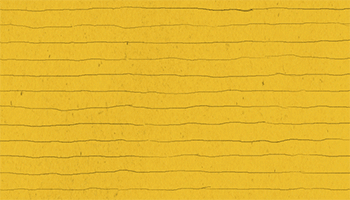gif11.gif