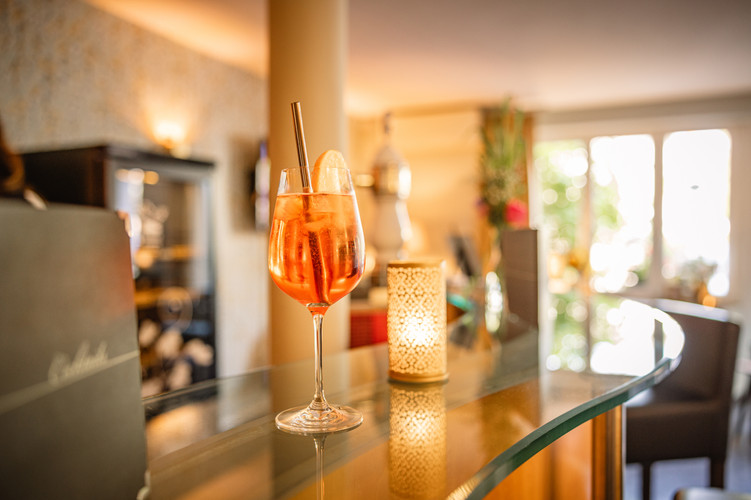 Hotel Spalentor Basel Hotelbar und Empfang hotel bar and lobby,  bar et réception drink at the bar