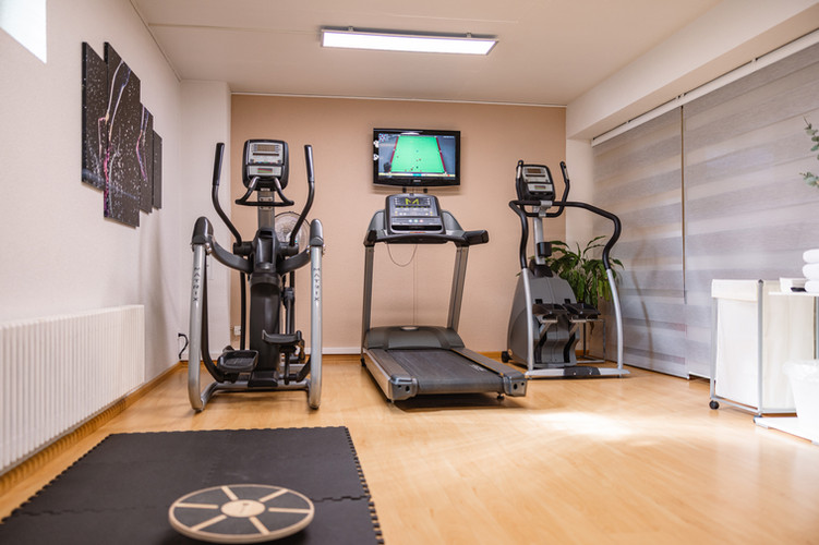 Hotel Spalentor Basel Fitness