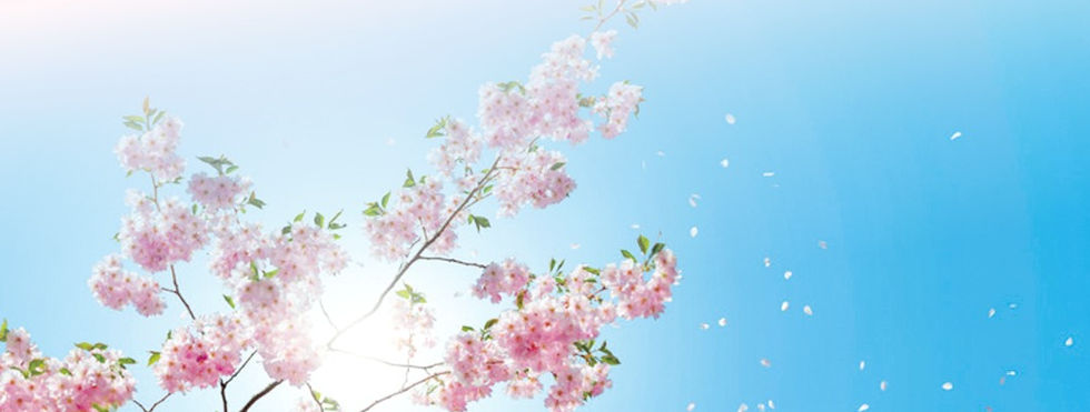 top-bg-only_edited.jpg