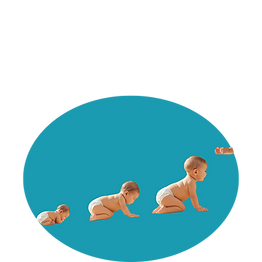 Untitled design (34).png