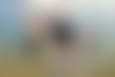 Sadom Prevails at Thailand Mixed #5 for 5th Season Victory