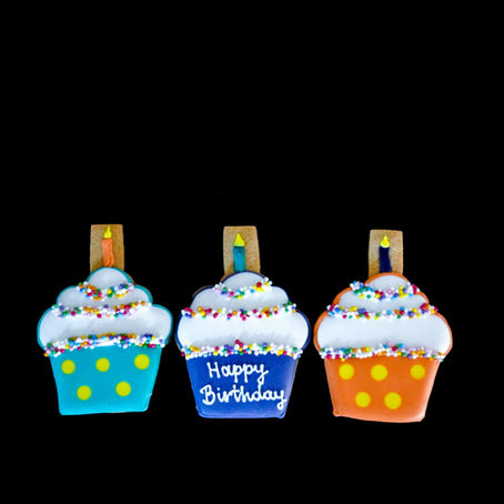 Pinyon Montessori Celebrates its First Anniversary!