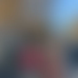 Pinecone Post, November 2025