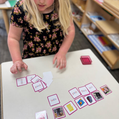 Assessment & Montessori