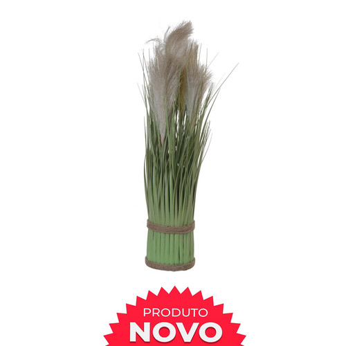 Pampa Grass barao