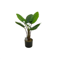 Planta aritificial 65x51cm
