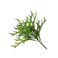 Planta artificial