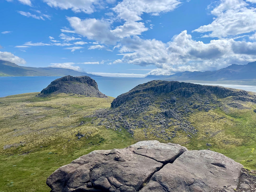 View across nature reserve to fjord
