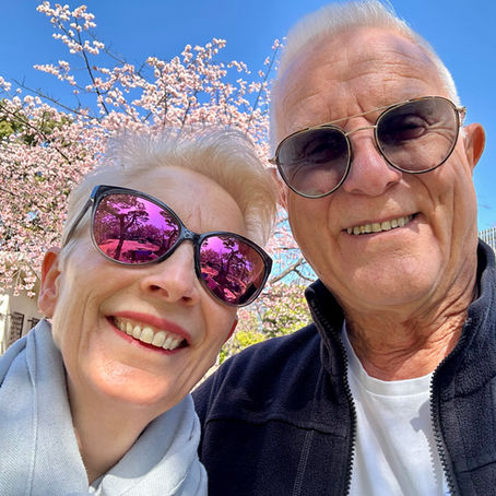 Two flowers among the sakura